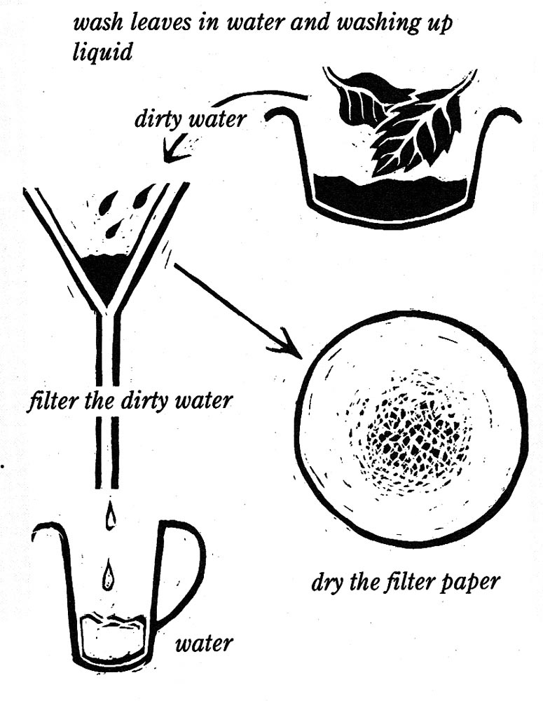 Air pollution experiment