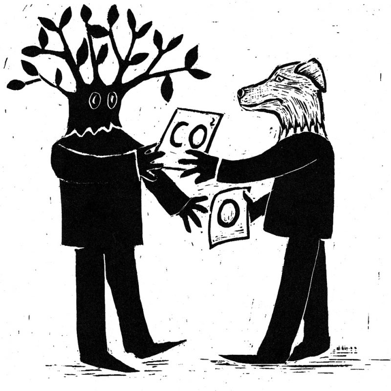 Gas exchange illustration © Heather Walley