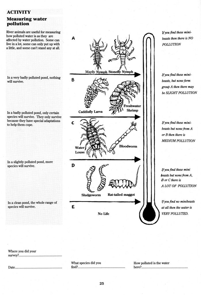 Measuring water pollution page