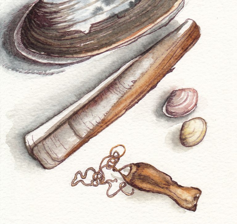 Shells